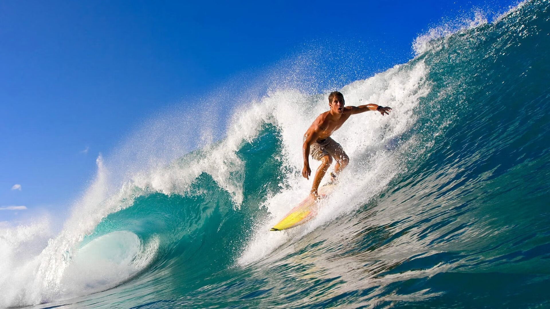 开云体育登入-逆境磨炼出的“超级战队”——冠军的秘密武器，超级战队简介